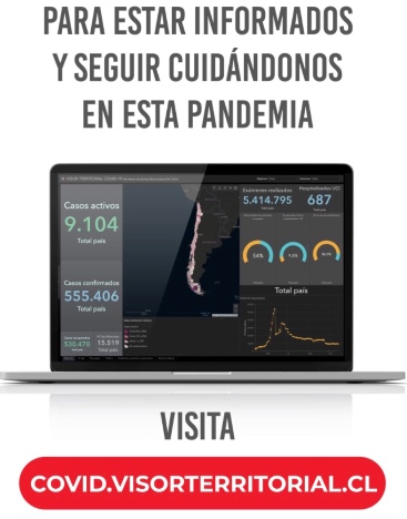 Visor Territorial de Bienes Nacionales muestra evolución de casos Covid-19 en la Región de O’Higgins