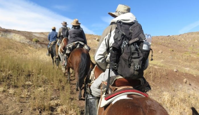 SERNATUR O’Higgins organiza primera mesa regional para el desarrollo sustentable de la actividad arriera