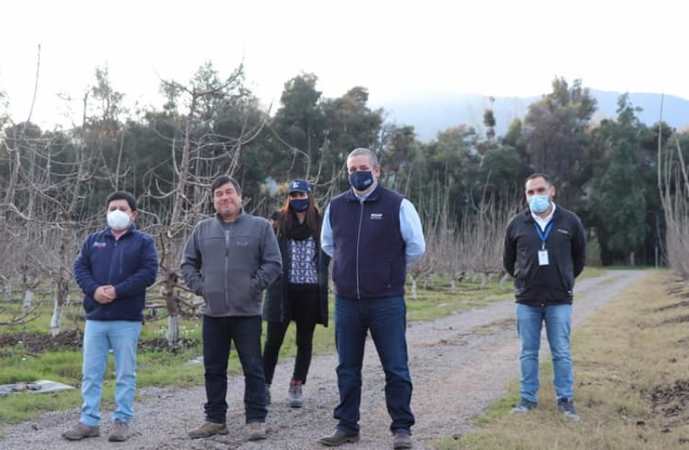 Empezó arrendando un terreno y hoy es dueño de 7 hectáreas  en que planta cerezos y nogales