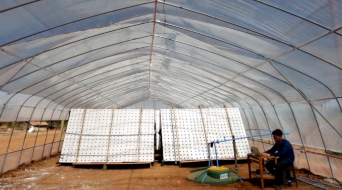 Hidrocultivo Aeropónico surge en Pumanque como opción sustentable para producción Hortícola
