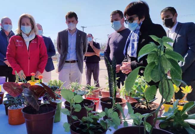 Feria Cultural Gultro Las Pulgas de Olivar se adjudicó fondos del FOSIS