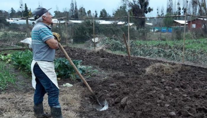 Gobernador Regional valora declaración de emergencia agrícola: “Va a permitir ir en ayuda de miles de pequeños agricultores”