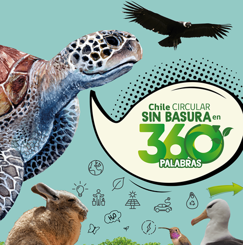 SEREMI del Medio Ambiente invita a participar del Concurso de cuentos “Chile Circular sin Basura en 360 palabras”