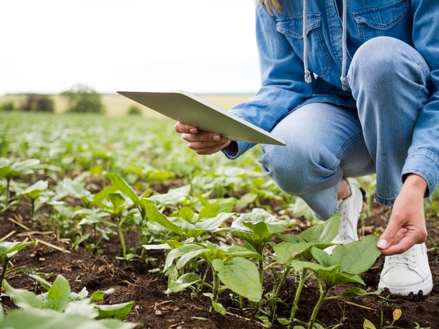 HortiTrade 2021: El mayor encuentro hortícola del país se realizará el próximo 9 de septiembre