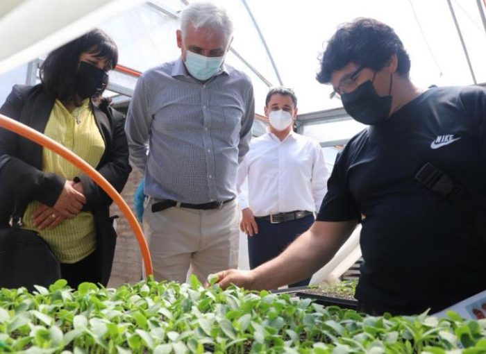 Gobernador Regional encabeza lanzamiento de proyecto FIC que impulsa nuevo método de producción hortícola en la región