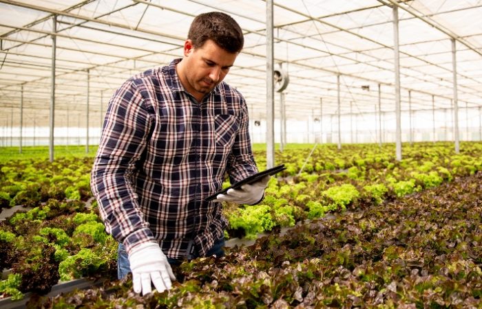 Convenio entre HortiCrece y centro universitario de México permitirá llevar la agricultura protegida a horticultores de O’Higgins