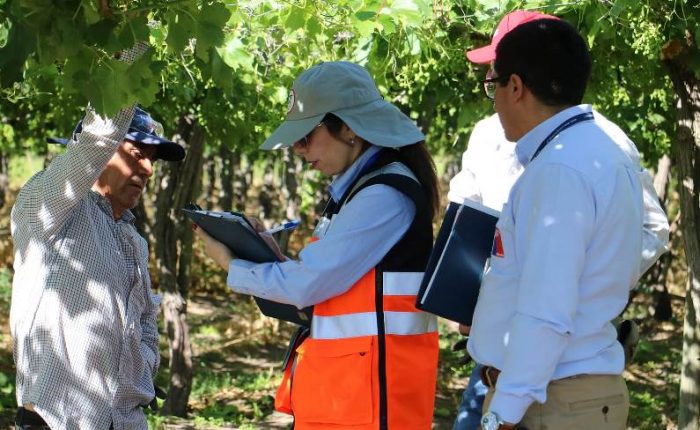 Trabajo Agrícola de Temporada: Dirección del Trabajo realizó 696 fiscalizaciones y cursó 155 infracciones durante el año 2022