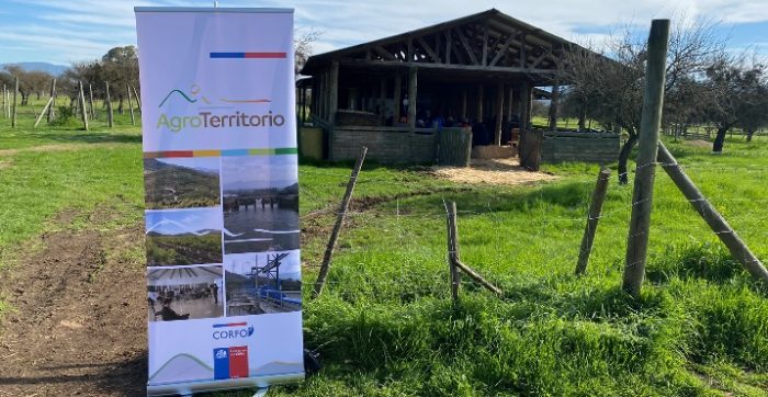 PTI AgroTerritorio propone alternativas para el manejo de bosque nativo en el secano interior de la Región de O’Higgins