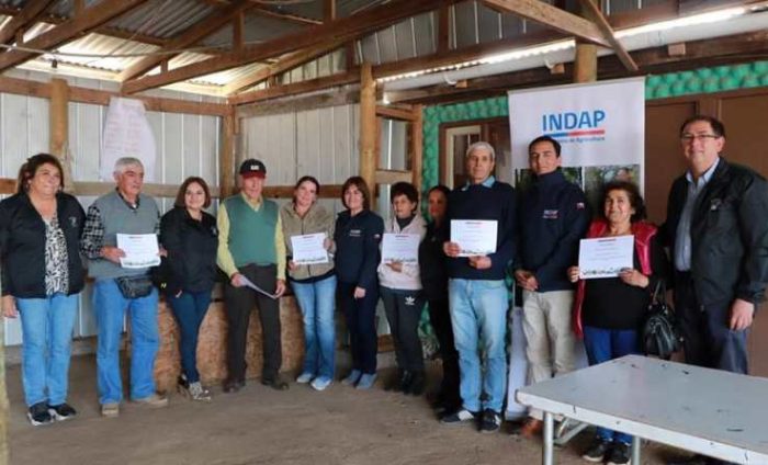 Insumos para iniciar el nuevo año agrícola recibieron 387 usuarios de Navidad y Litueche