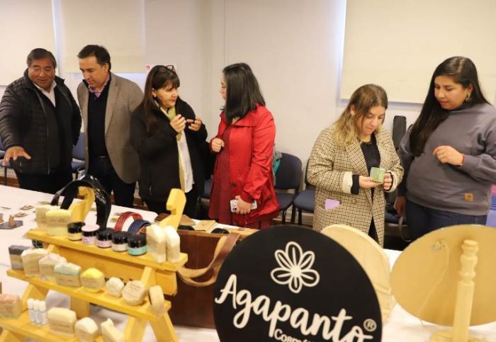 Con recursos aportados por el Gobierno Regional abren convocatoria para postular al Capital Abeja Emprende de SERCOTEC