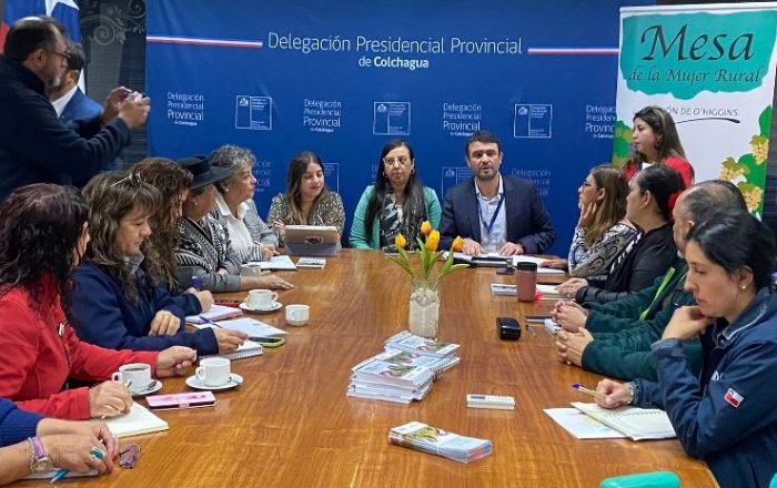 Mesa Mujer Rural de O´Higgins sostuvo su primera reunión del año 2024
