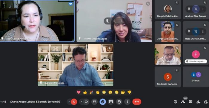 Acoso Laboral y Sexual en las Organizaciones: SernamEG O’Higgins realizó charla para Sindicatos de la Región