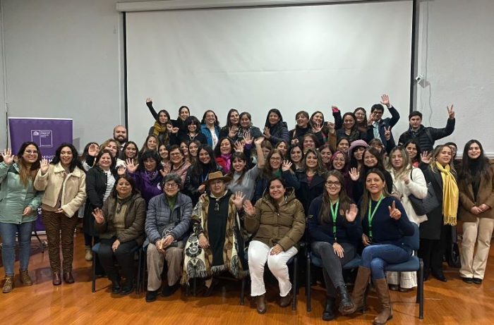 SERERMI de la Mujer de O´Higgins lidera conversatorio regional en el marco de los 30 años de la Convención Interamericana Belém do Pará