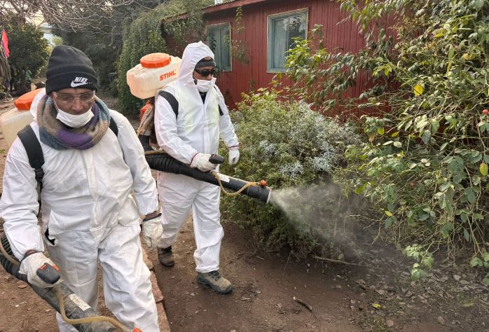 Sanitización de viviendas en el sector La   Cabaña