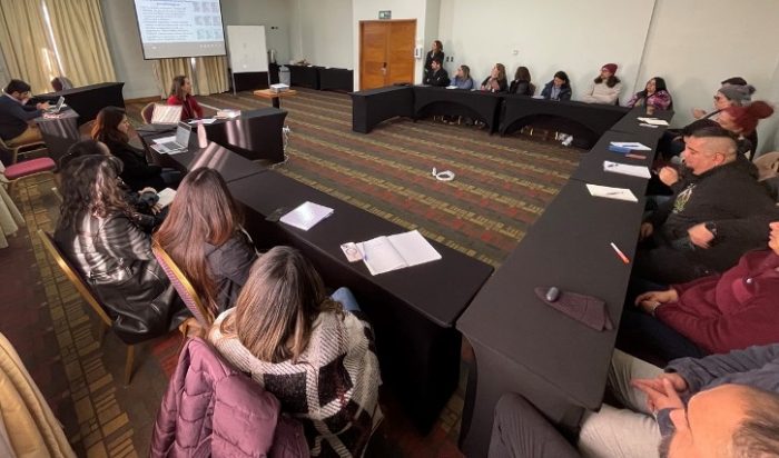 Funcionarios del SENAME O’Higgins culminaron capacitación sobre nuevo perfil criminológico en adolescentes