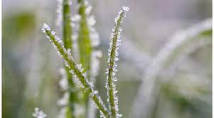 Delegado de O’Higgins llama a doblar cuidados ante bajas temperaturas