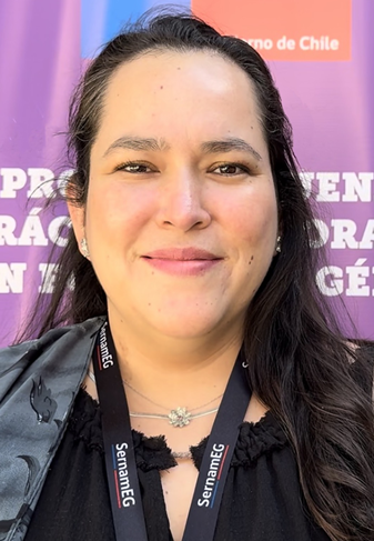 Femicidio frustrado en Chimbarongo: 20 años de cárcel para su autor