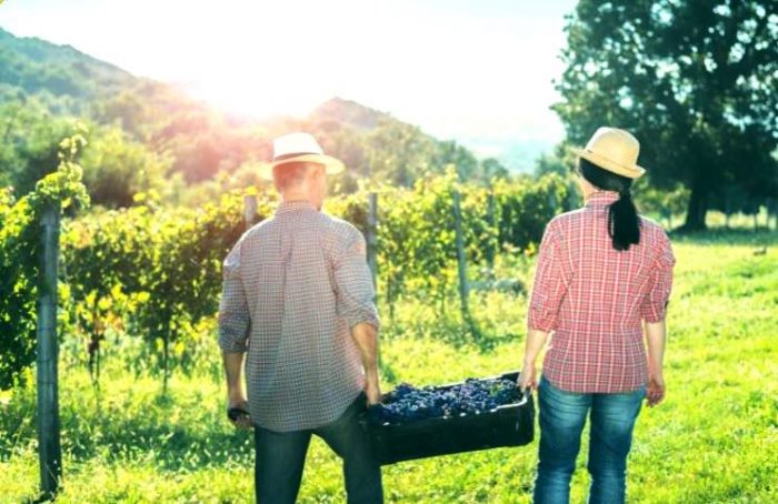 Explora cómo los idiomas abren oportunidades en la agricultura junto al Instituto Confucio de Santo Tomás