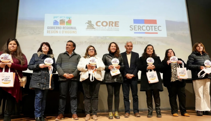 Más de 400 mujeres impulsan nuevos negocios en la Región de O’Higgins con apoyo del Capital Abeja