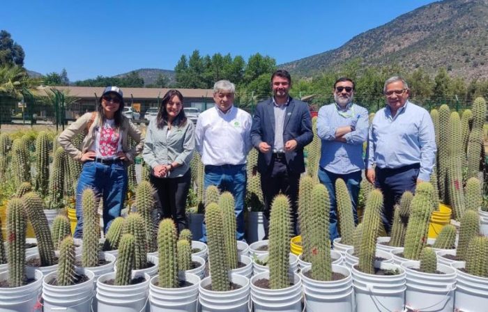 SEREMIS de Agricultura y Medio Ambiente recorren vivero de División El Teniente y conocen avances en sustentabilidad