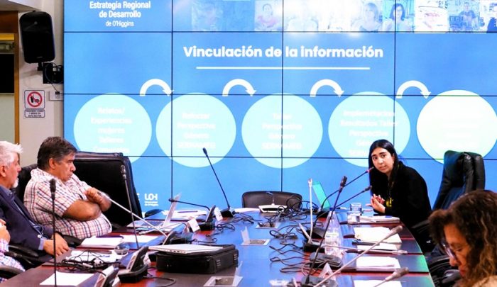 Comisión del CORE conoció la perspectiva de género de la Estrategia Regional de Desarrollo (ERD)