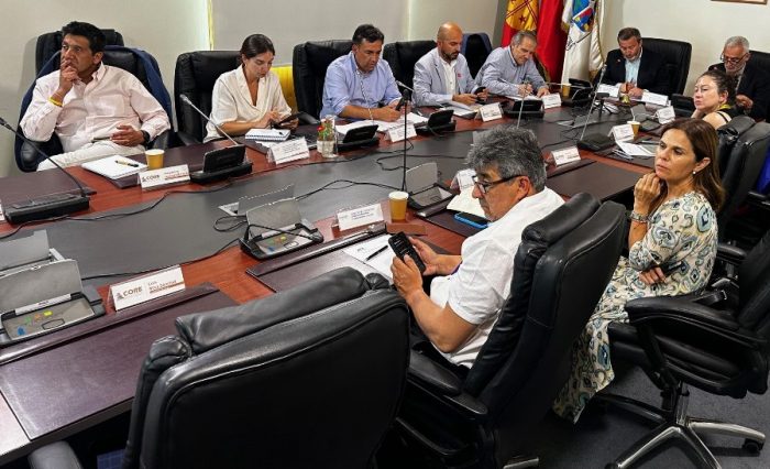 Comité de Desarrollo Productivo O’Higgins se consolida este 2024 apoyando a más de mil beneficiarios de la región