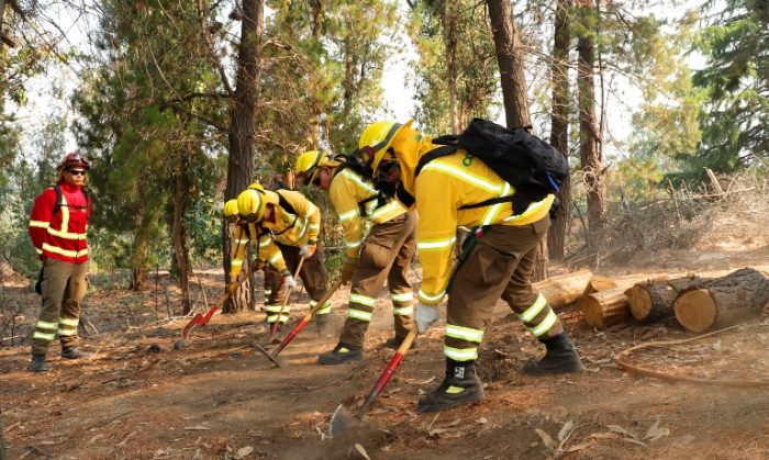 División El Teniente implementa Comité Operativo para el control de incendios forestales