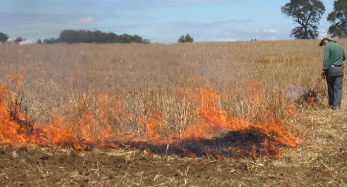 Ocho regiones del país están con restricciones para el uso del fuego
