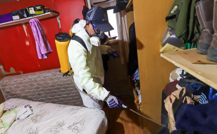 En Baltazar Castro Municipalidad de Rancagua comenzó intenso proceso de fumigación de plagas