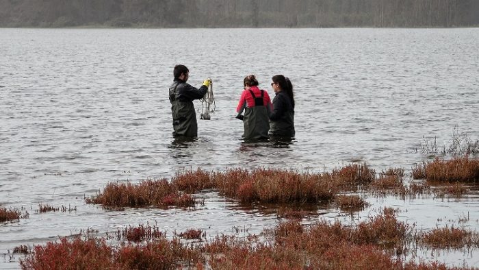 Día Internacional de los Humedales: desafíos y cuidados para su preservación