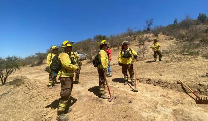 CONAF O’Higgins ha superado en un 20% la construcción de cortafuegos planificada en el territorio