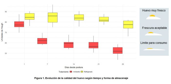 El huevo y su valor nutricional: avances en la investigación de calidad en la UOH