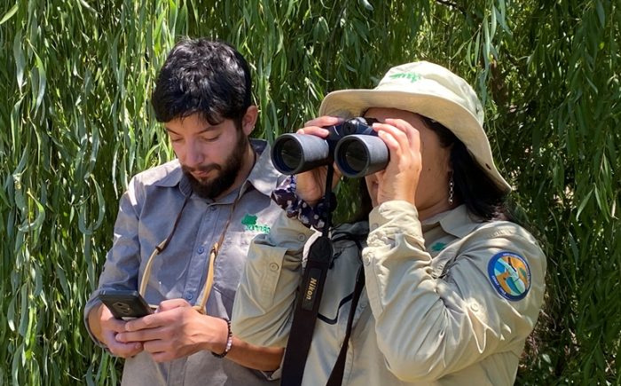 CONAF celebra el Día Mundial de los Humedales con avistamiento de avifauna