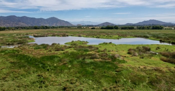Siete humedales rurales de la Región de O’Higgins son estudiados su conservación