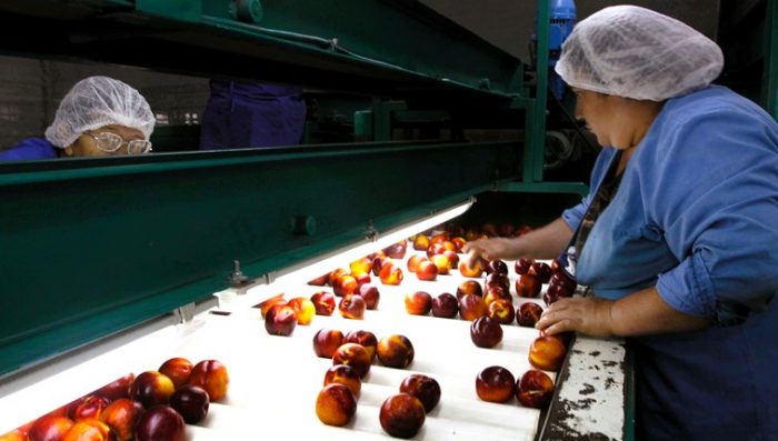 Mercado laboral de O’Higgins continúa en recuperación por cuarto trimestre consecutivo