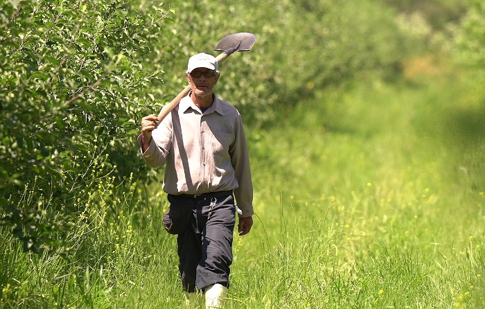 Sector agrícola concentró las contrataciones durante el 2024