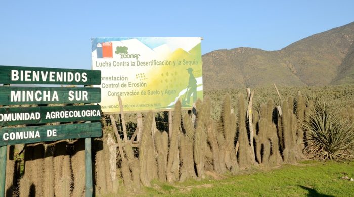 CONAF O’Higgins conmemora el Día Mundial de Lucha contra la Desertificación y la Sequía