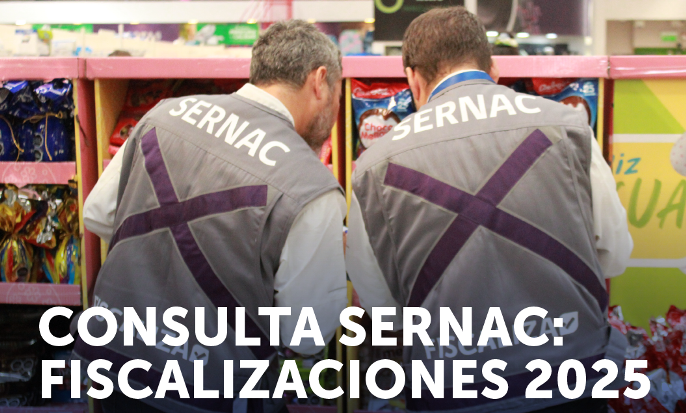 Los consumidores indican que el SERNAC debería priorizar sus acciones fiscalizadoras en las grandes tiendas y servicios básicos