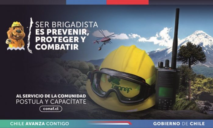 Ministerio de Agricultura y CONAF llaman a postular a brigadistas forestales para enfrentar la temporada de incendios 2025–2026
