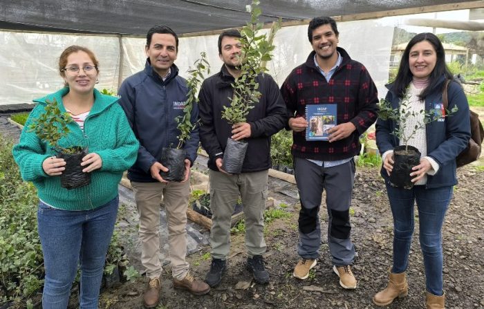 Joven agricultor de Pichidegua apostó por el campo y desarrolla innovador proyecto