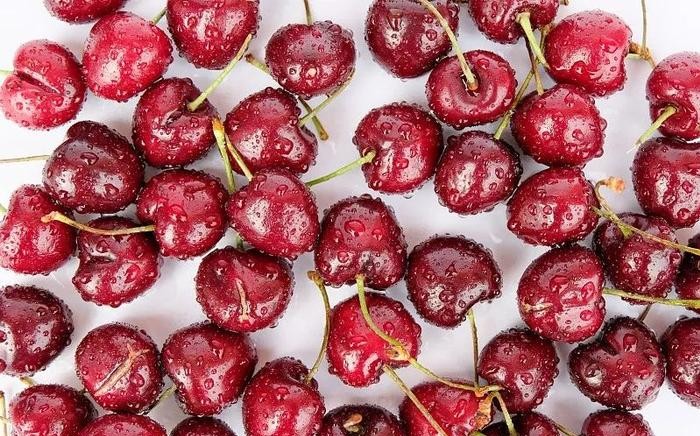 Chile y China: Webinar del Instituto Confucio de Santo Tomás abordará oportunidades agrícolas y comerciales