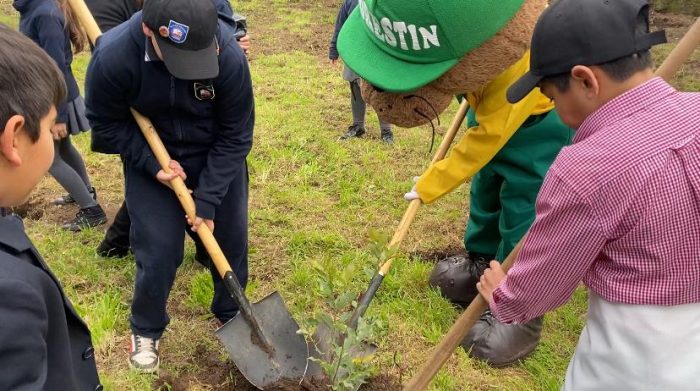 El Programa Raíces del Poblado de CONAF plantó peumos en la Escuela El Rosario de Peumo