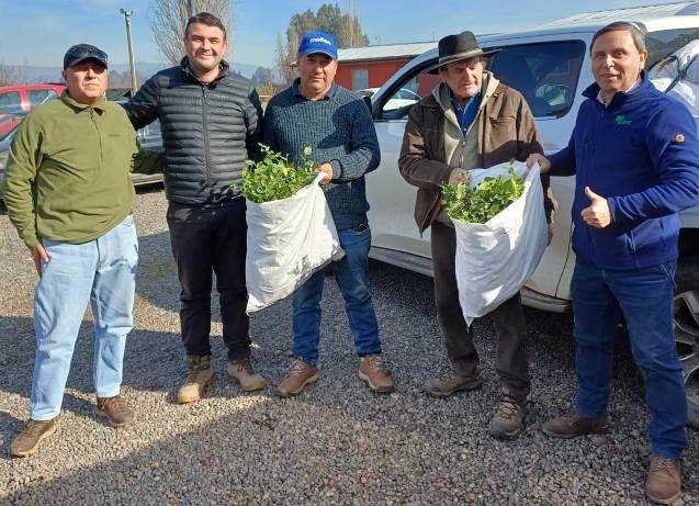 CONAF comprometida con la mitigación del cambio climático a través de la plantación de más de 143 mil árboles