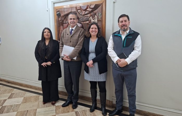 SEREMIS de Minería y ejecutivos de ENAMI sostienen reunión para fortalecer la pequeña y mediana minería