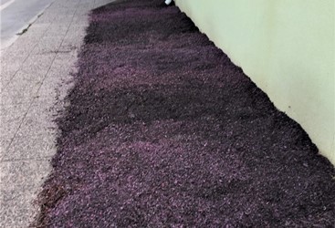 Hospital de Chimbarongo implementa proyecto de paisajismo que permitirá ahorro sustentable de agua potable