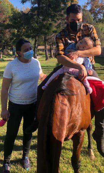Equinoterapia marca diferencia en tratamientos de origen neuromuscular