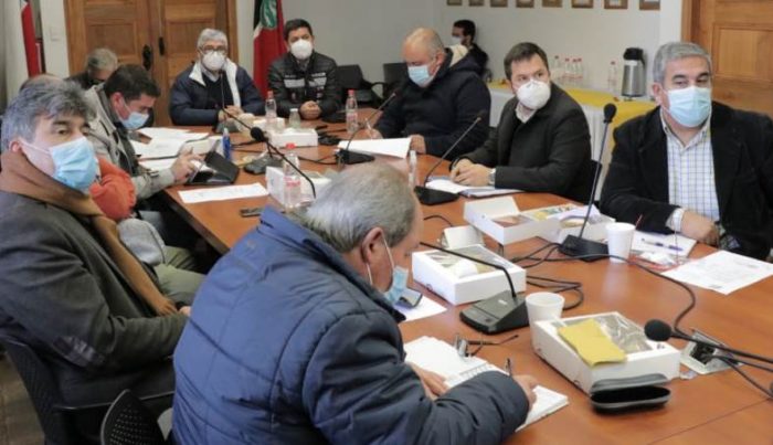 Comisión de Infraestructura del CORE da puntapié inicial al mejoramiento del Parque Colchagua en Santa Cruz