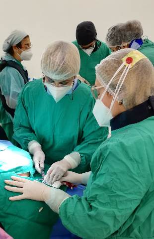 Hospital Santa Cruz realiza primer implante de marcapaso temporal