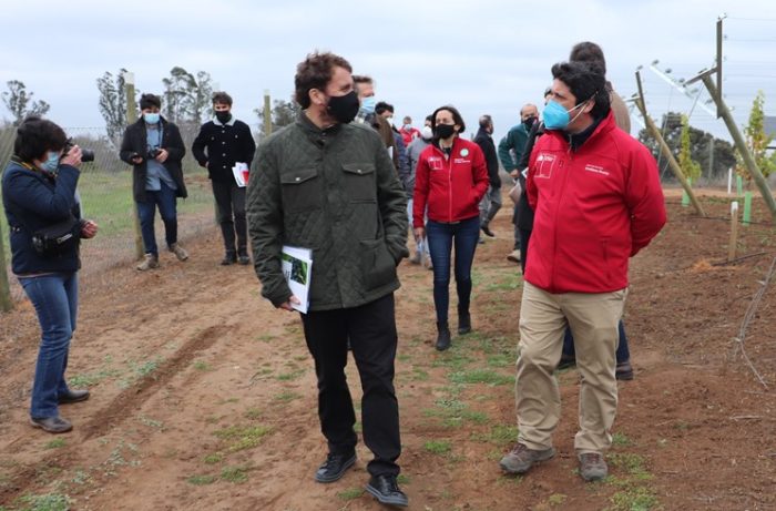 CORFO lanza programa para impulsar proyectos tecnológicos vinculados a la agricultura en O’Higgins
