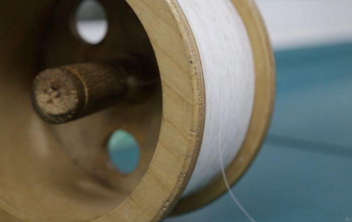 SEREMI de Salud O´Higgins hace enérgico llamado a no utilizar el peligroso hilo curado